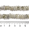 Natural Labradorite Beads Strands G-Q167-B19-01-5