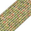 Natural Unakite Beads Strands G-P575-B25-4x1mm-2