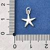 925 Sterling Silver Charms STER-Q003-01C-S-3