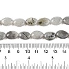 Natural Labradorite Beads Strands G-M206-42-5