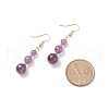 Natural Gemstone Round Beaded Long Dangle Earrings EJEW-JE05017-5