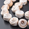 Natural Spiral Shell Bead Strands SSHEL-N034-106-4