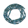 Natural Apatite Beads Strands G-C196-B01-2x2mm-3