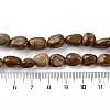 Natural Picture Jasper Beads Strands G-G146-A01-01-5