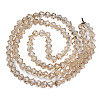 Electroplate Transparent Glass Beads Strands EGLA-Q026-016E-2