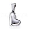 Tarnish Resistant 304 Stainless Steel Charms STAS-H330-36P-1