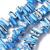 Dyed Natural Trochus Shell Beads Strands SSHEL-C013-09F-1