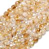 Natural Citrine Beads Strands G-K389-B70-01-2