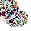 Glass Seed Beads SEED-N007-P6x9mm-A01-1
