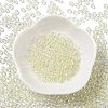 Glass Seed Beads SEED-H002-A-A627-2