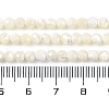 Shell Beads Strands SSHEL-E571-38-4mm-5
