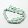 Natural Amazonite Rectangle Beads Strands G-P091-55-2