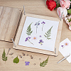   Flower Press Kits DIY-PH0022-65A-5