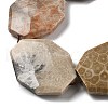 Natural Fossil Coral Beads Strands G-F477-07-44x34mm-4