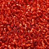 Glass Seed Beads X-SEED-S042-04B-10-3