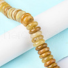 Natural Topaz Jade Beads Strands G-F743-01G-01-2