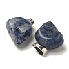 Natural Sodalite Pendants G-Z067-02P-03-3