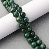 Natural Fuchsite Beads Strands G-K393-A02-8mm-1
