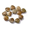 Natural Picture Jasper Beads Strands G-P570-E09-02-3