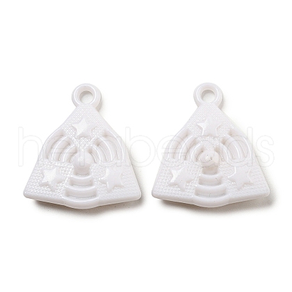 Opaque Acrylic Pendants SACR-L007-040-1