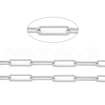 Tarnish Resistant 304 Stainless Steel Paperclip Chains CHS-F011-03B-P-1