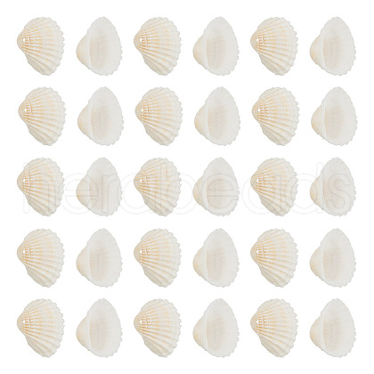 Shell Pendants SSHEL-TA0001-03-1