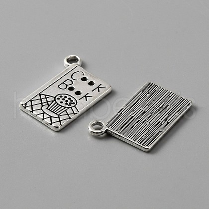 Tibetan Style Alloy Pendants FIND-CJC0004-13AS-1