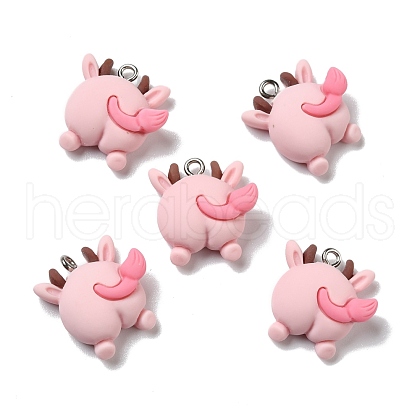 Opaque Resin Pendants RESI-D055-043P-1