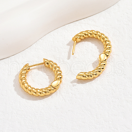 Brass Twisted Spiral Hoop Earrings UF5324-1