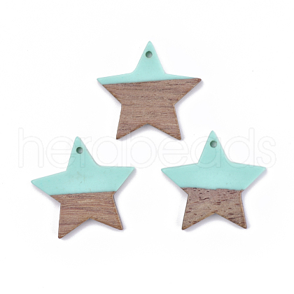 Resin & Wood Pendants X-RESI-T023-23C-1