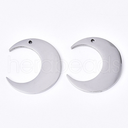 Tarnish Resistant 304 Stainless Steel Pendants STAS-N087-35-1