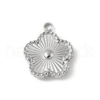 304 Stainless Steel Pendants STAS-P388-10P-1