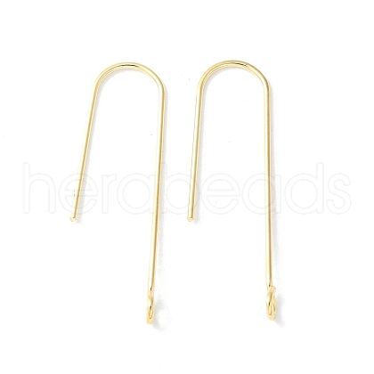 316 Surgical Stainless Steel Earring Hooks STAS-Z124-02D-G-1