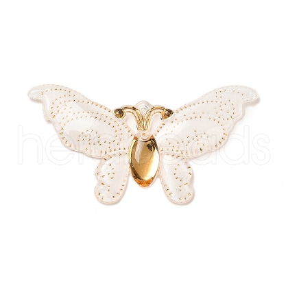 Gradient Color Resin Pendants RESI-Q012-03E-1
