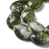 Natural Prehnite Beads Strands G-P528-L01-01-4