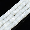 Natural Trochid Shell/Trochus Beads Strands SSHEL-N027-128-1