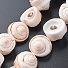 Natural Spiral Shell Bead Strands SSHEL-N034-106-2