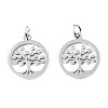 304 Stainless Steel Pendants STAS-T046-JA350-1A-P-3