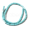 Natural Howlite Beads Strands G-C025-11-3