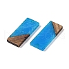 Resin & Wood Pendants WOOD-F015-09C-2