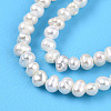 Natural Cultured Freshwater Pearl Beads Strands PEAR-N013-02I-4