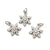 Rack Plating Brass Micro Pave Cubic Zirconia Charms KK-E081-15P-3