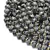 Natural Snowflake Obsidian  Beads Strands G-P573-A49-01-3