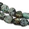Natural African Turquoise(Jasper) Beads Strands G-Q060-E14-4