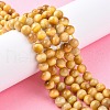 Natural Gold Tiger Eye Beads Strands G-G212-8mm-18-4