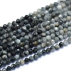 Natural Hawk's Eye Beads Strands G-I279-E14-02-1