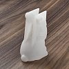 Rabbit DIY Silicone Rabbit Ornaments Molds SIMO-R010-03C-3