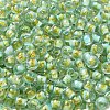 Transparent Glass Round Seed Beads X1-SEED-B001-05A-13-3