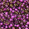 Glass Seed Beads X1-SEED-H002-B-D207-3