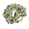 Prehnite Chip Bead Strands G-M205-11-5